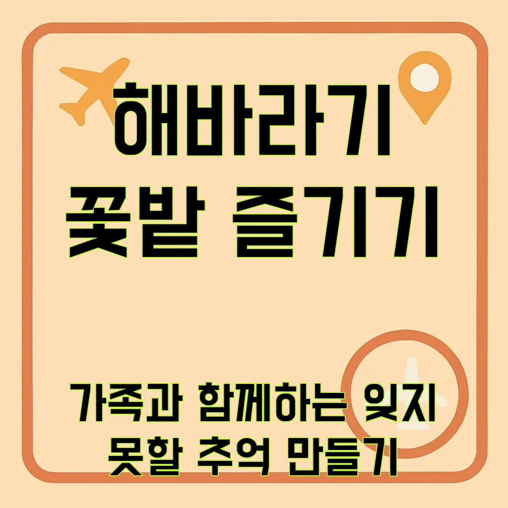 강주해바라기축제