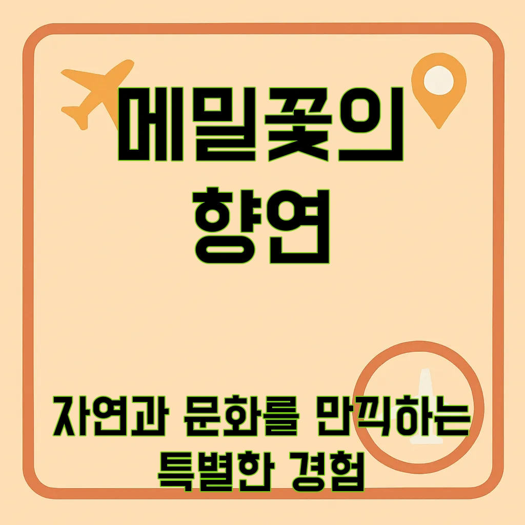 보롬왓_메밀축제