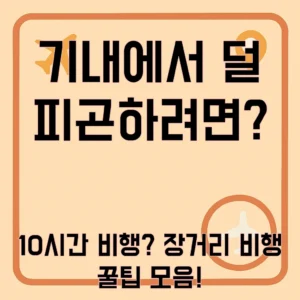 장거리 비행 