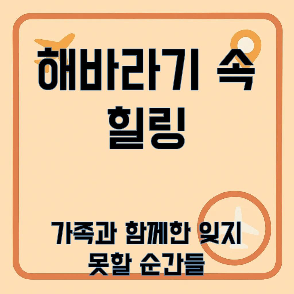 태백_해바라기축제