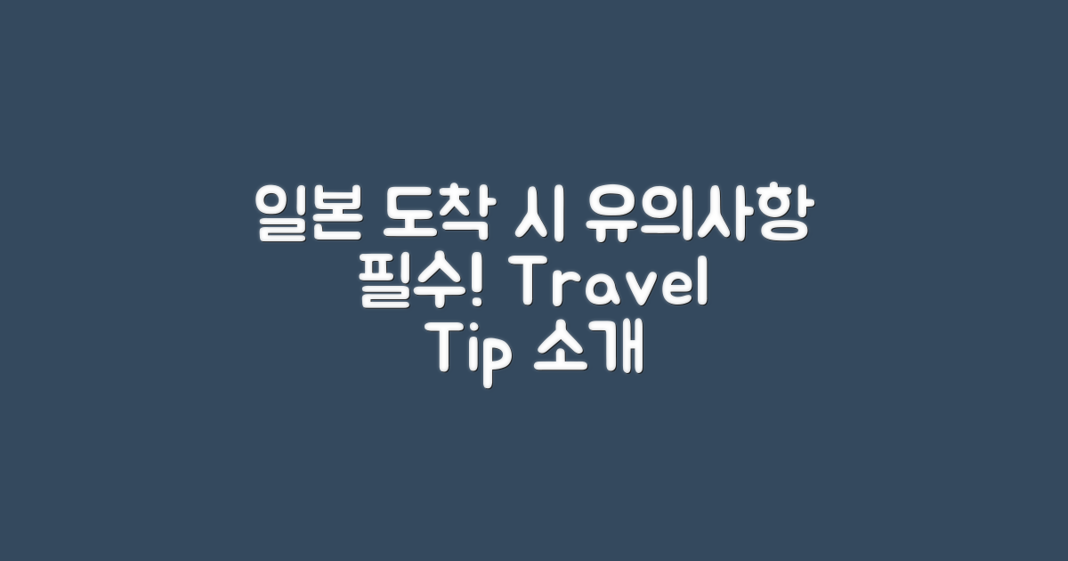 일본 도착 시 유의사항