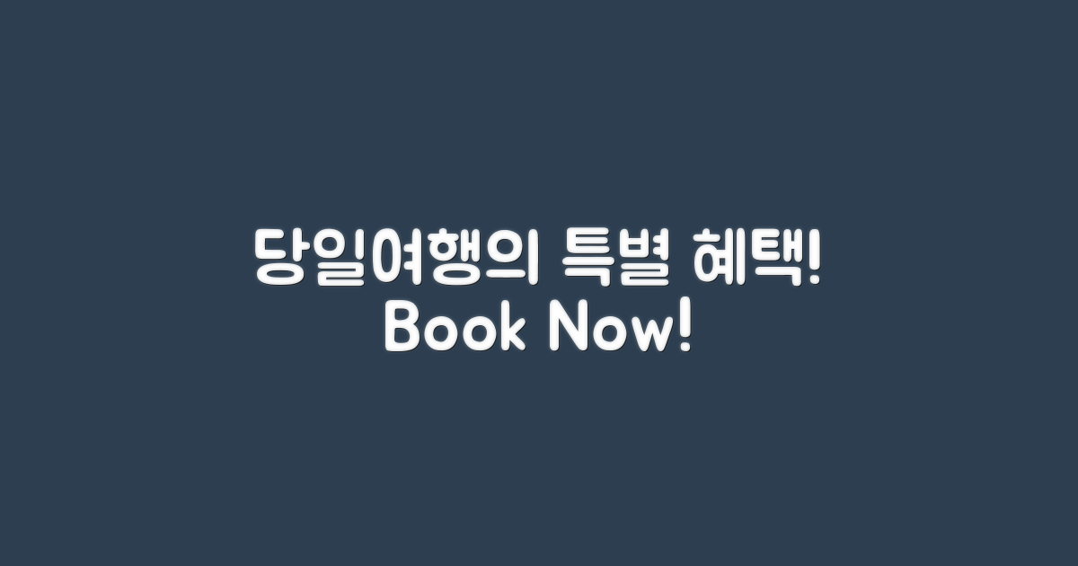 당일여행의 특별 혜택