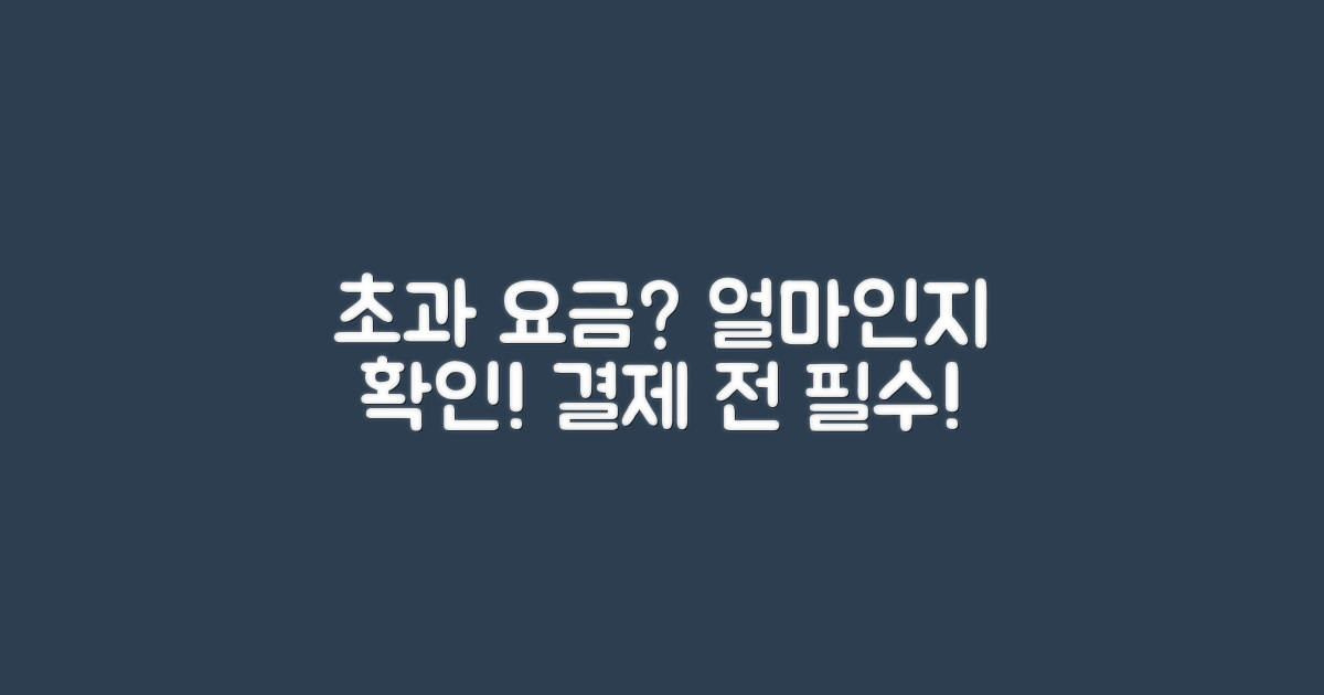 초과 요금은 얼마일까?