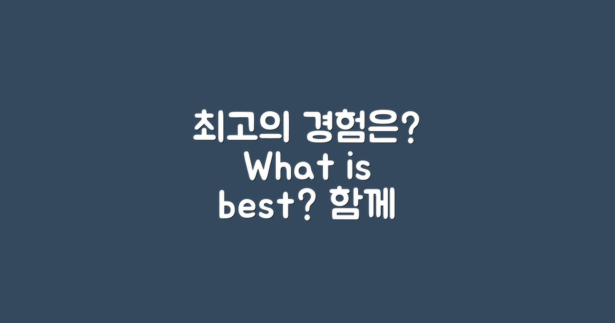 최고의 경험은 무엇일까?