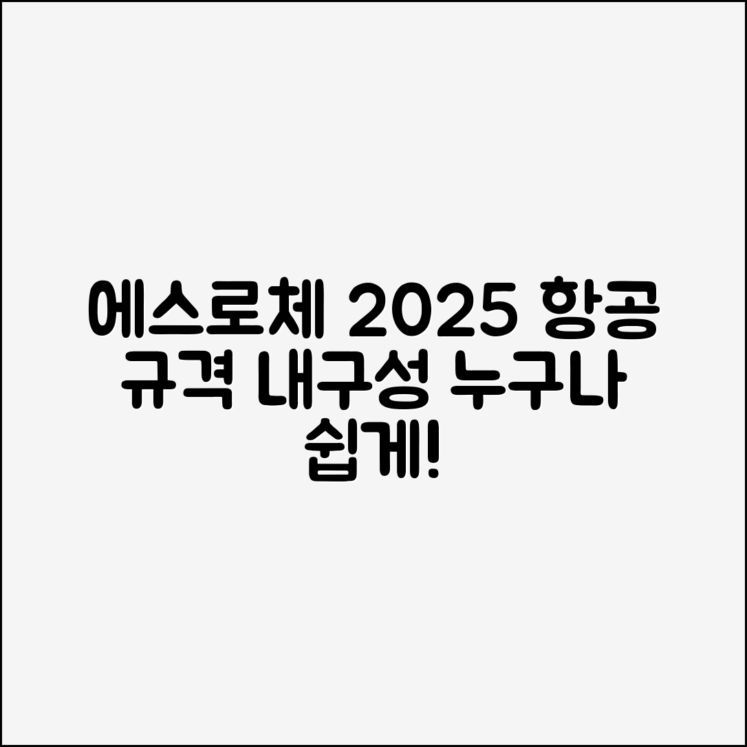 누구나 쉽게 아는 에스로체 캐리어 2025 항공규격·내구성