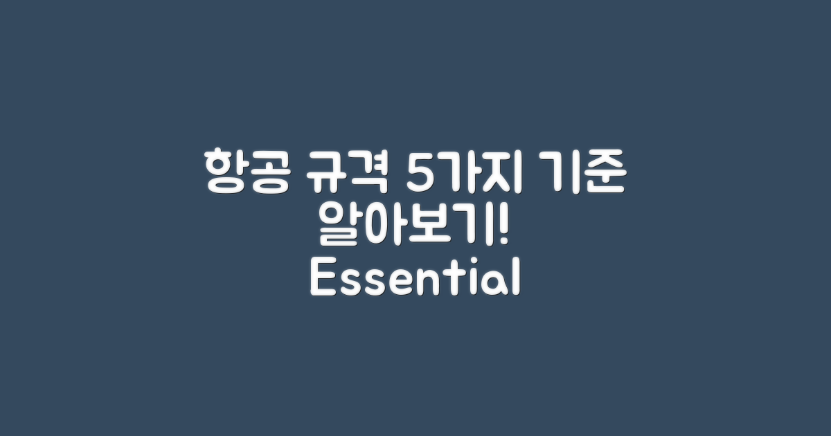 5가지 항공규격 기준