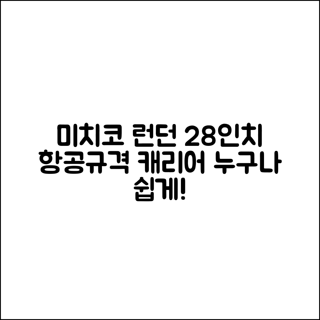 미치코 런던 캐리어 2025, 누구나 쉽게 선택하는 항공규격 28인치