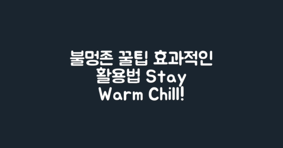 불멍존 활용 팁 분석