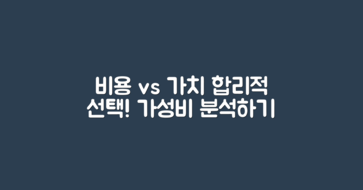 비용 대비 가치 분석