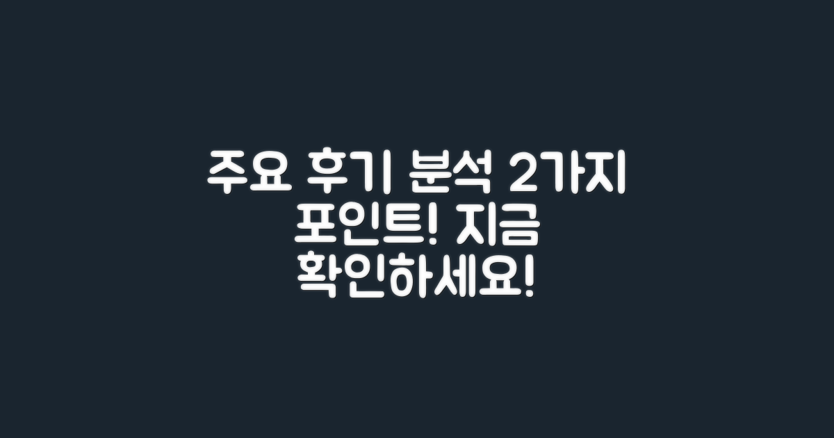 2가지 주요 후기 분석