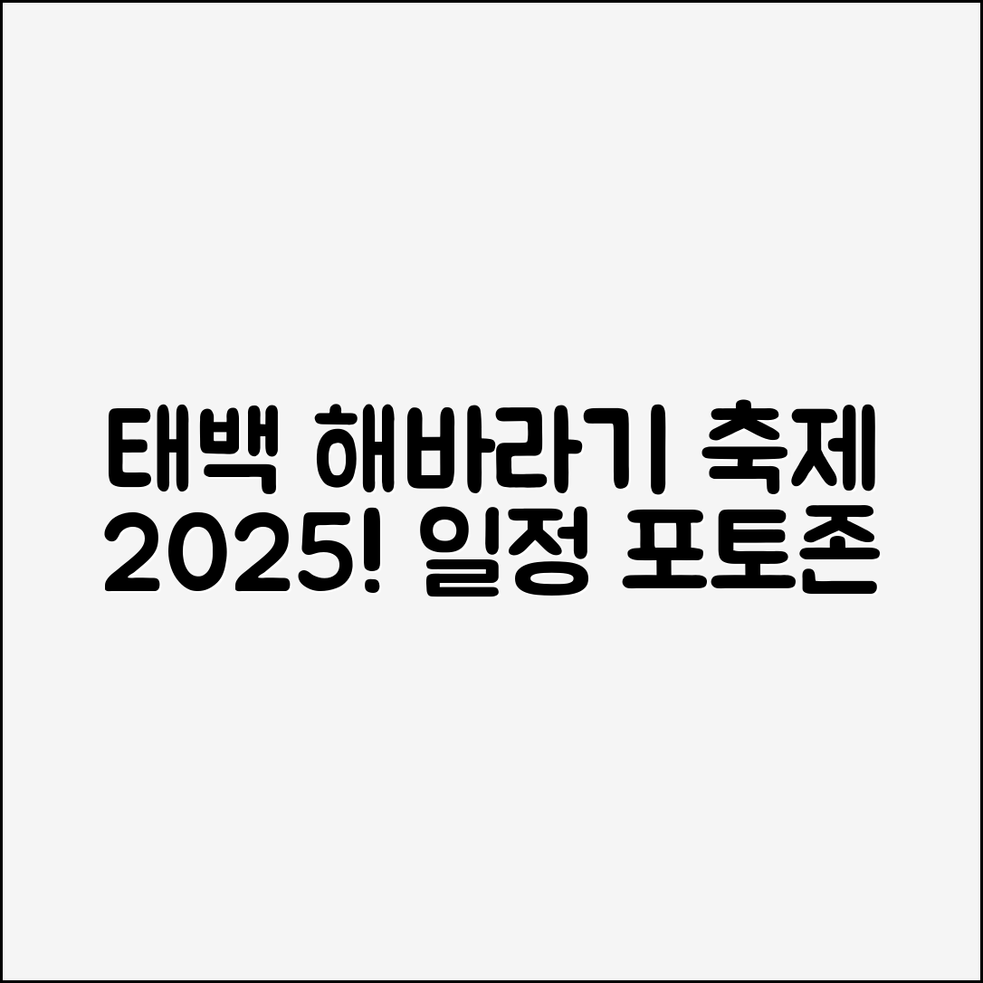 태백 해바라기 축제 2025, 일정과 포토존은?