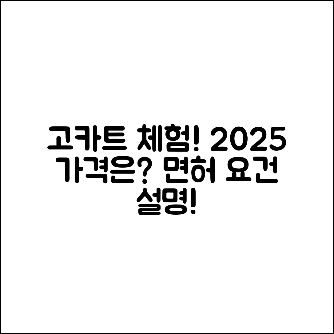누구나 쉽게 즐기는 고카트 체험장 2025 가격 및 면허요건
