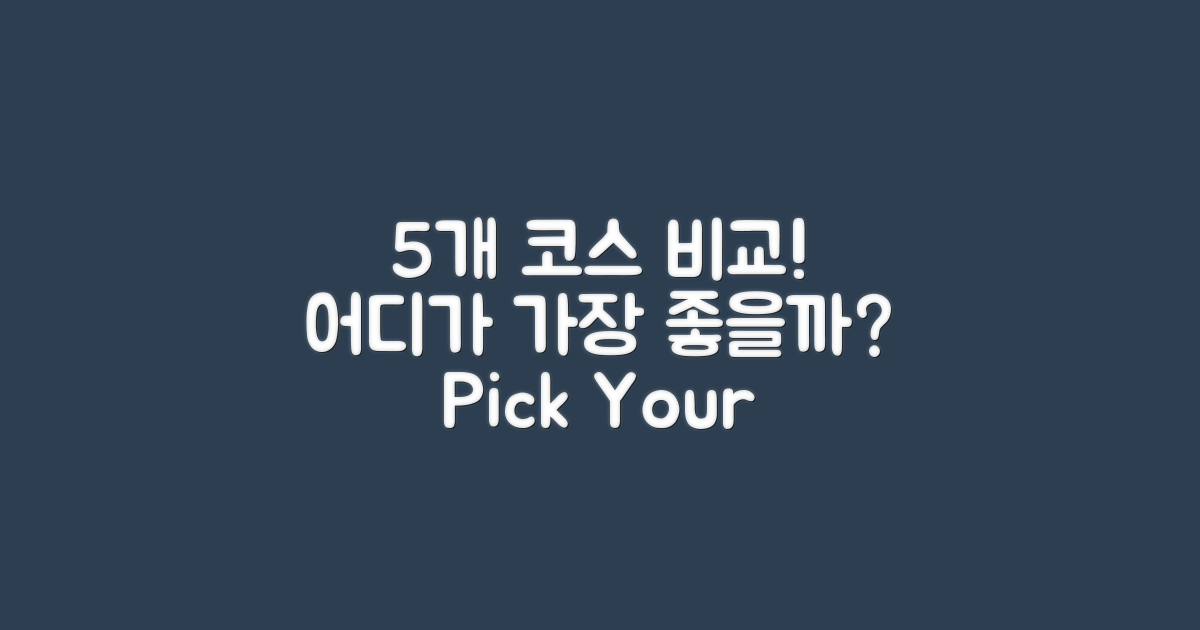 5개 코스 비교 분석