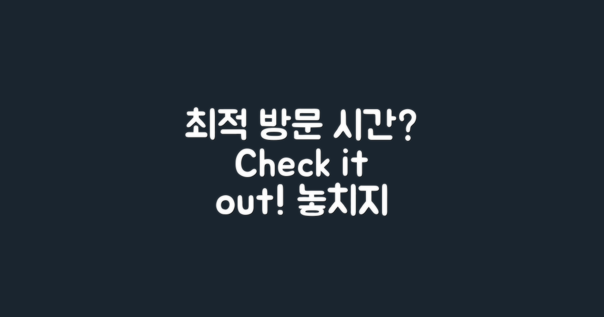 최적의 방문 시간은?