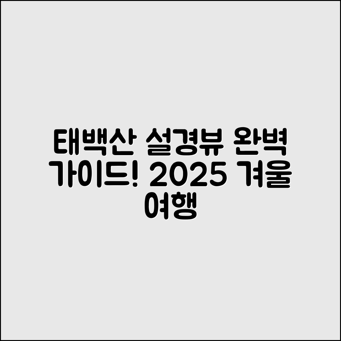 태백산 민박촌 2025 설경뷰 완벽 가이드