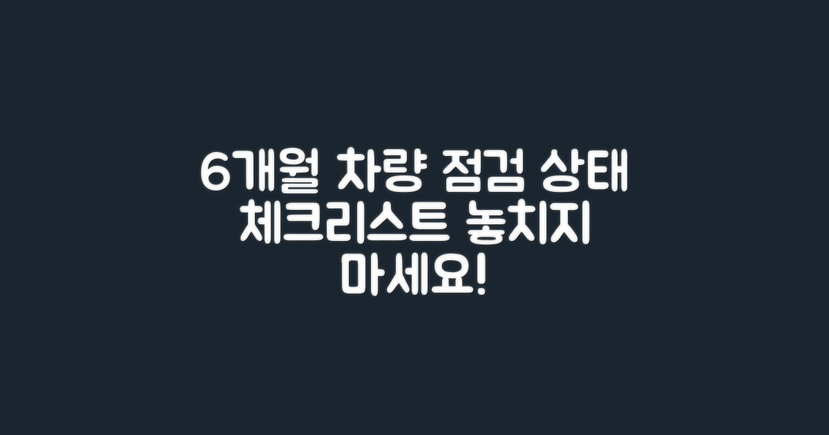 6개월 차량 상태 체크리스트