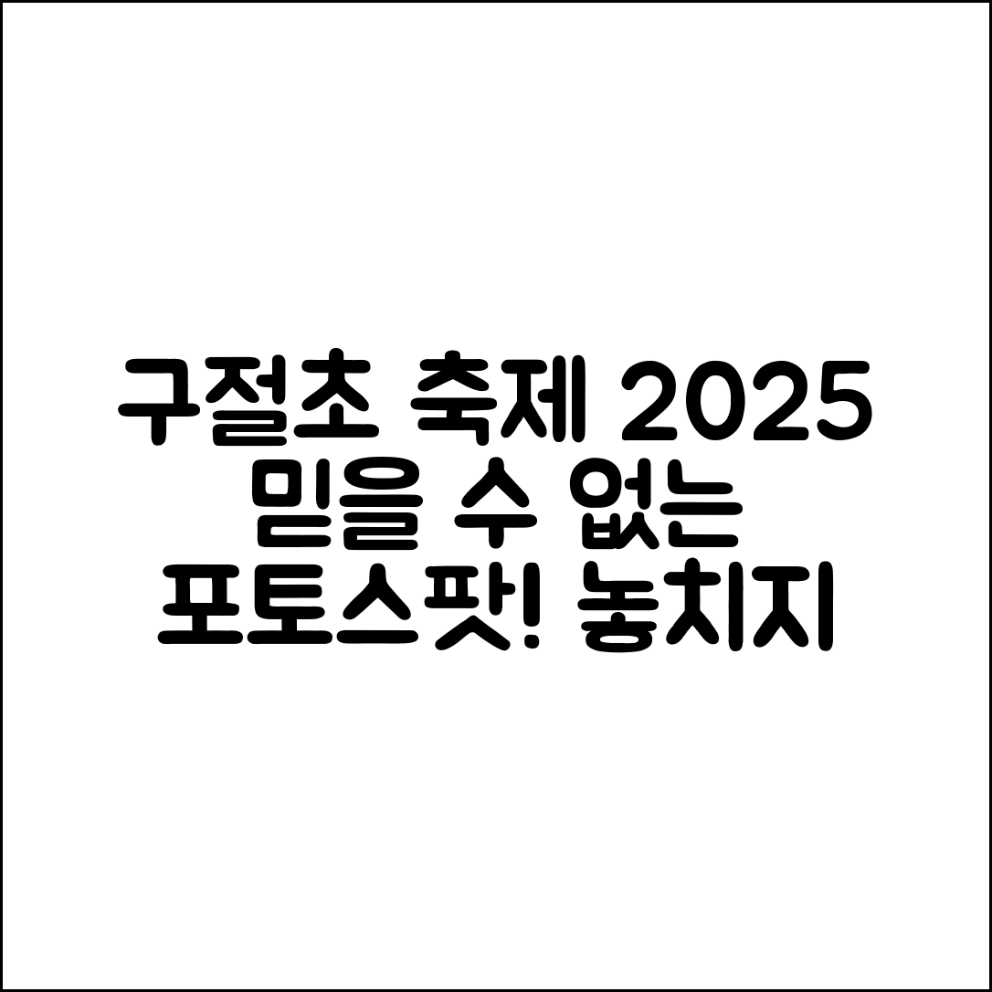 정읍 구절초 축제 2025, 믿을 수 없는 포토스팟 대공개!