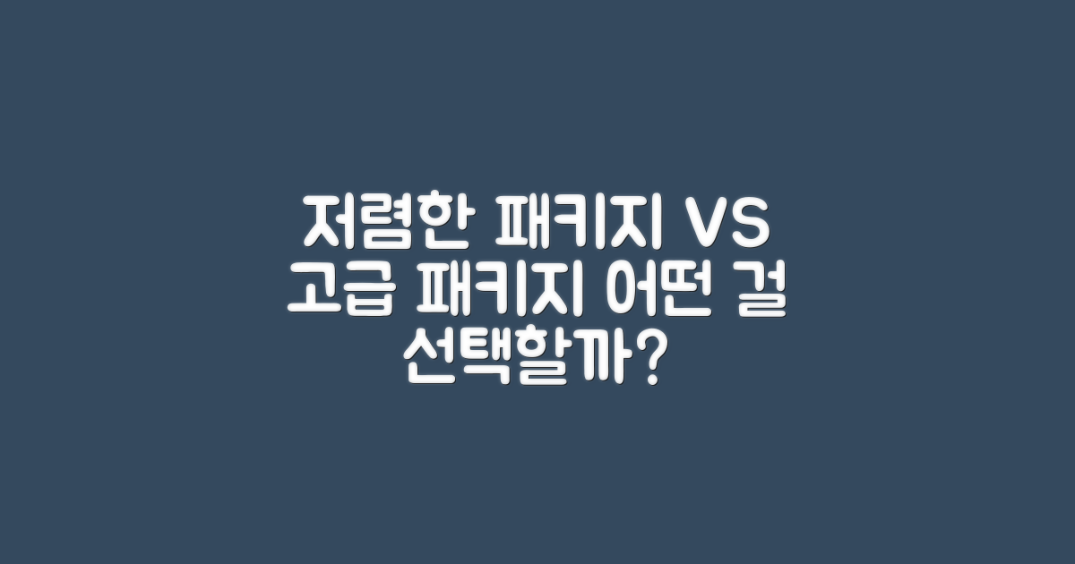 저렴한 패키지 vs 고급 패키지 비교