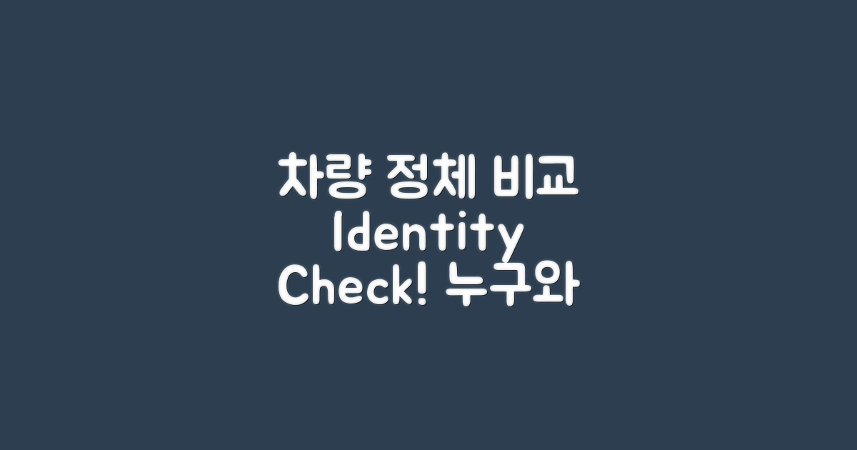 차량 정체성 비교