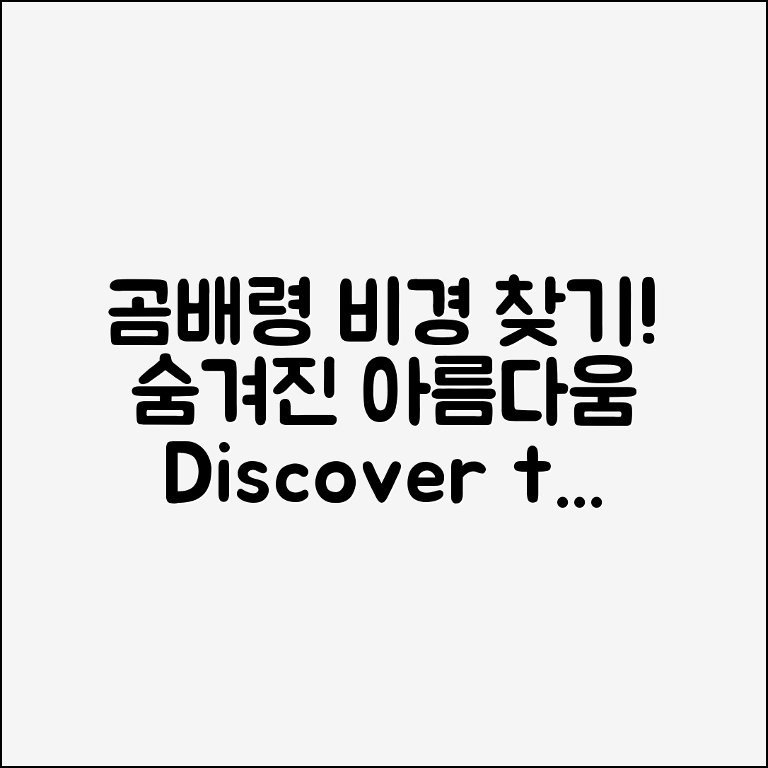 곰배령, 숨겨진 비경을 어떻게 찾을 수 있을까요?