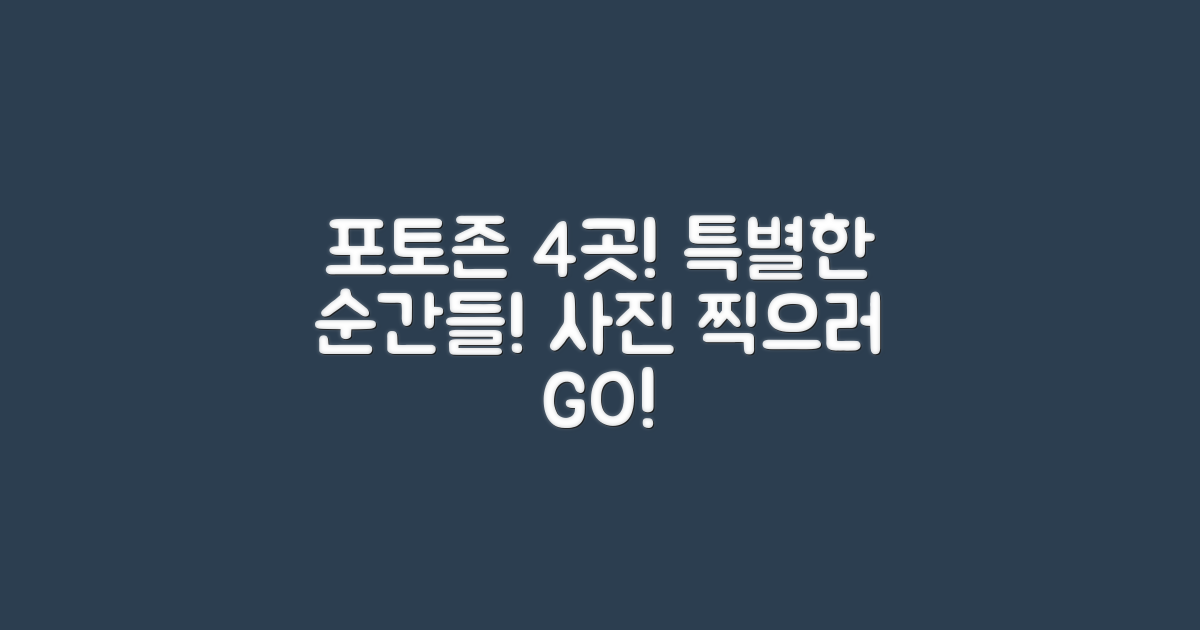 4개의 포토존 위치