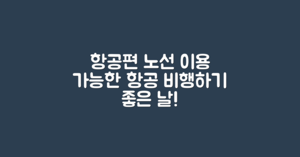 이용 가능한 항공편과 노선