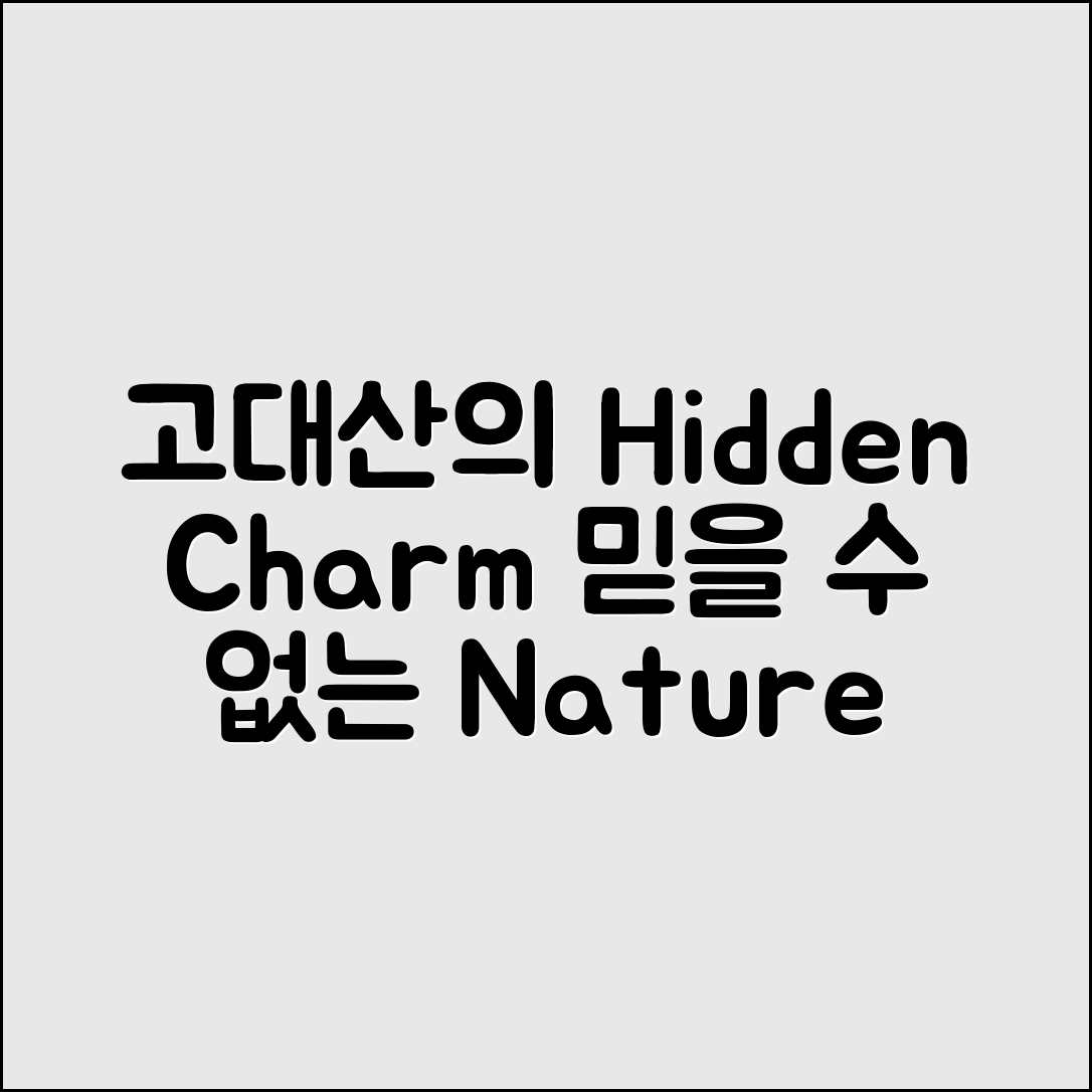 믿을 수 없는 고대산자연휴양림의 숨겨진 매력