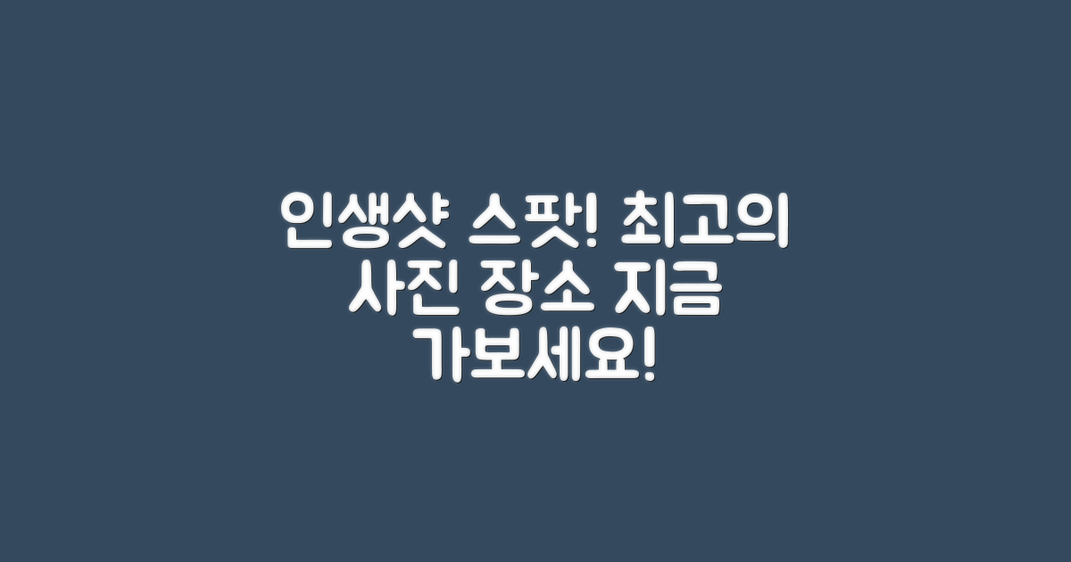 사진 찍기 좋은 장소로 가보세요