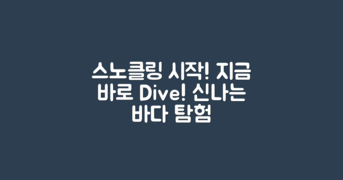 지금 스노클링 시작하세요