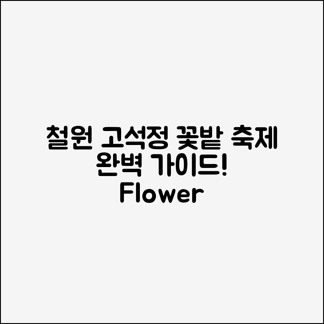 철원고석정꽃밭축제 완벽 가이드: 꽃의 향연