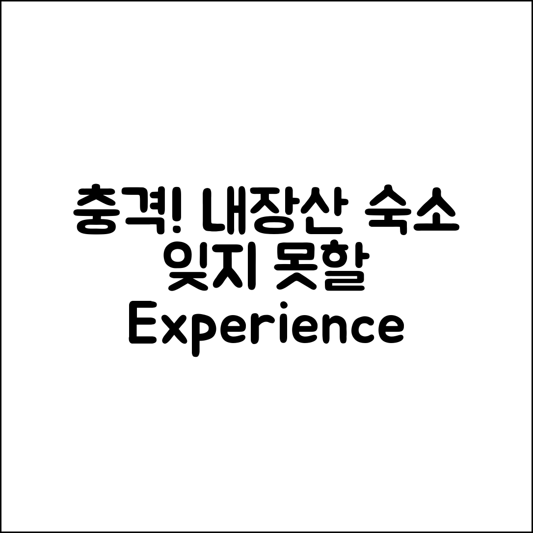 충격적인 내장산숙소, 잊지 못할 경험!