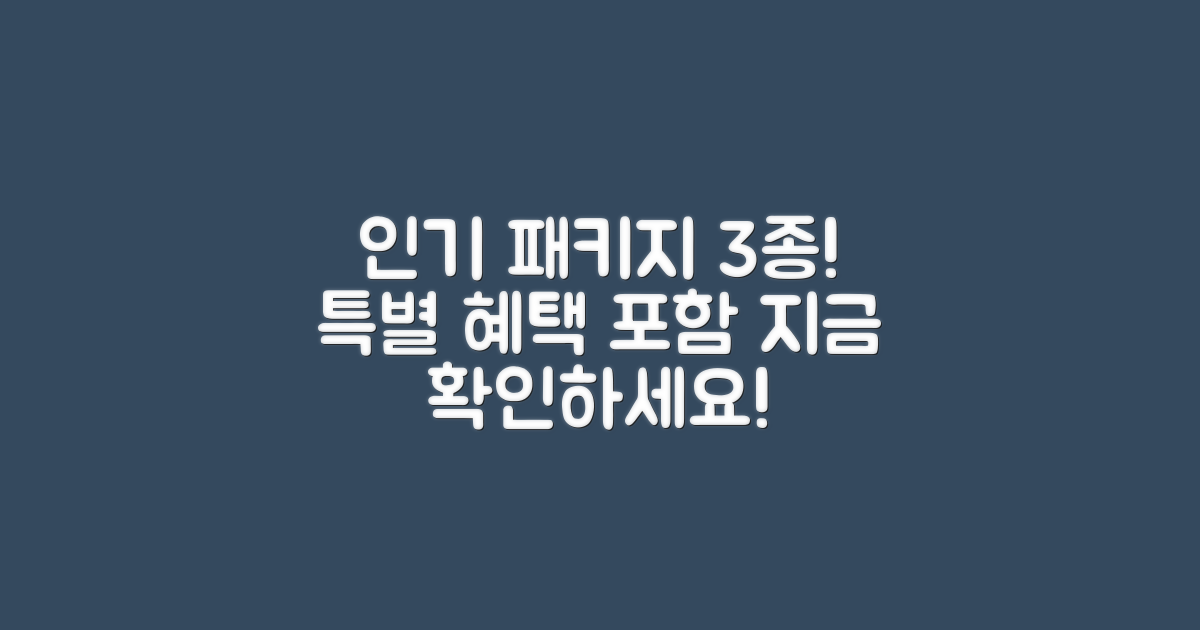 3가지 인기 패키지