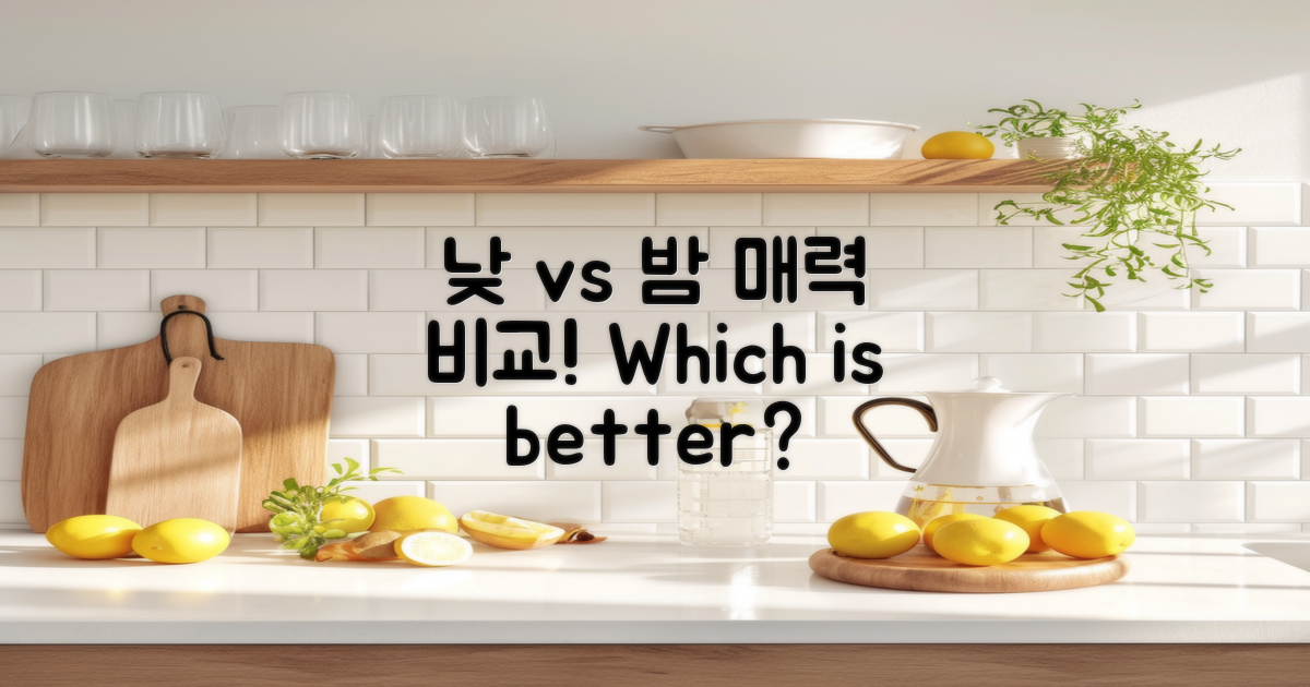 낮과 밤의 매력 비교