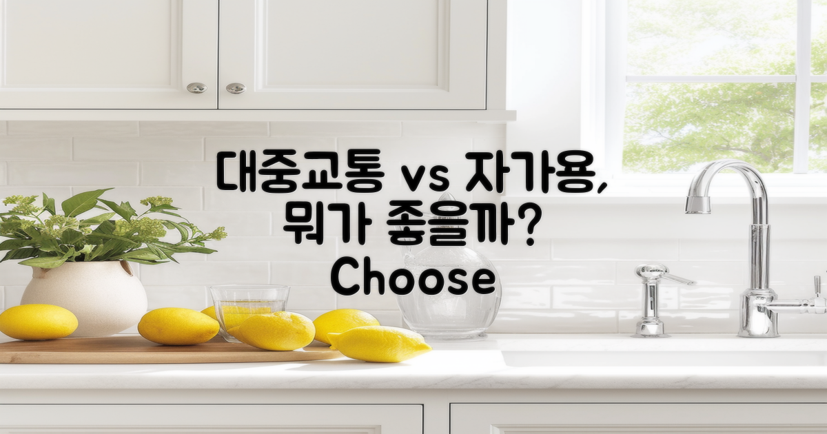 대중교통 vs 자가용 이용