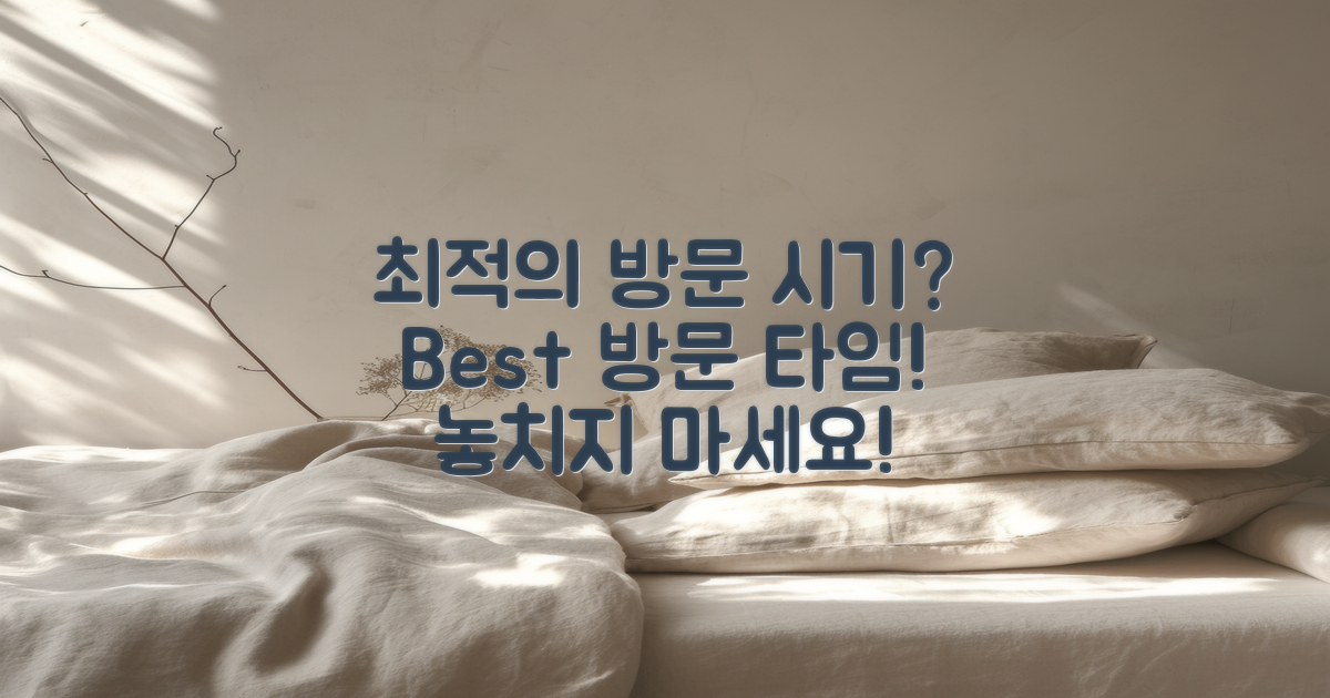 최적의 방문 시기는 언제일까?