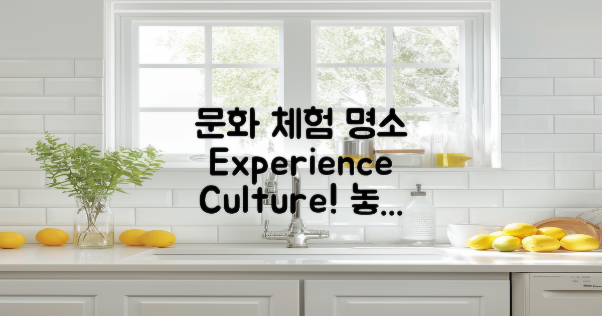 문화 체험할 수 있는 명소