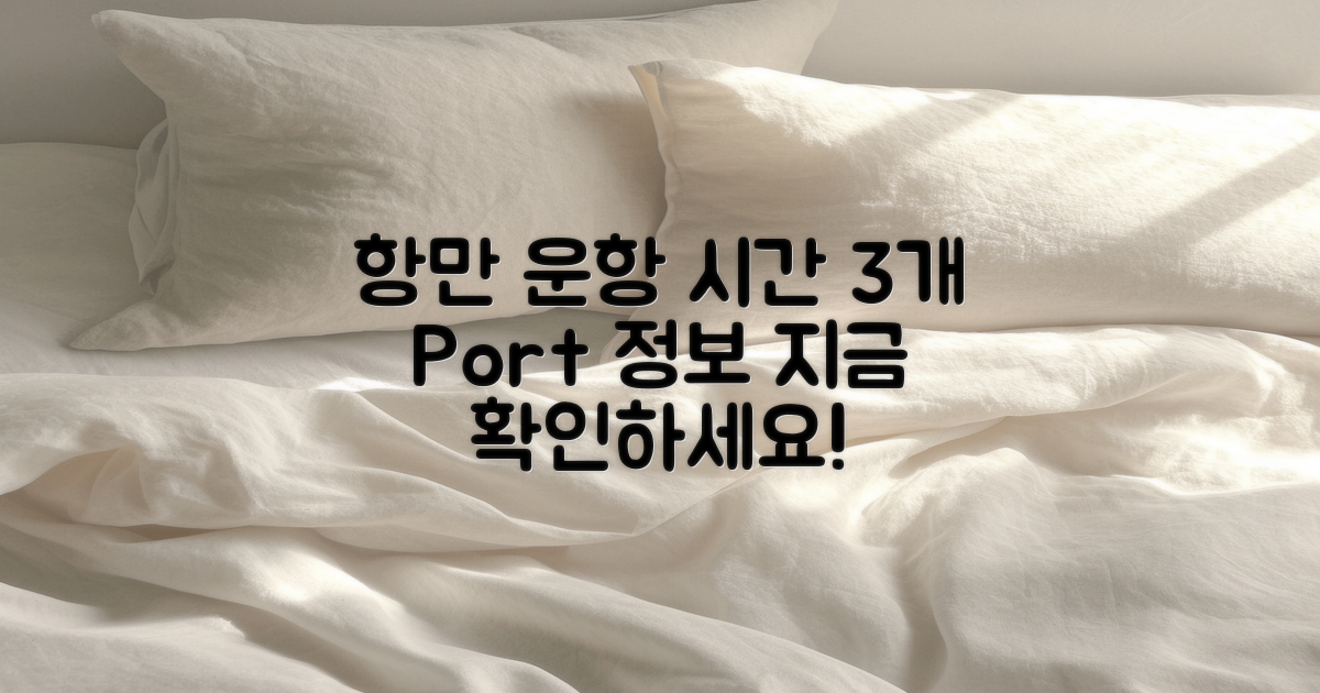 3개 항만 운항 시간