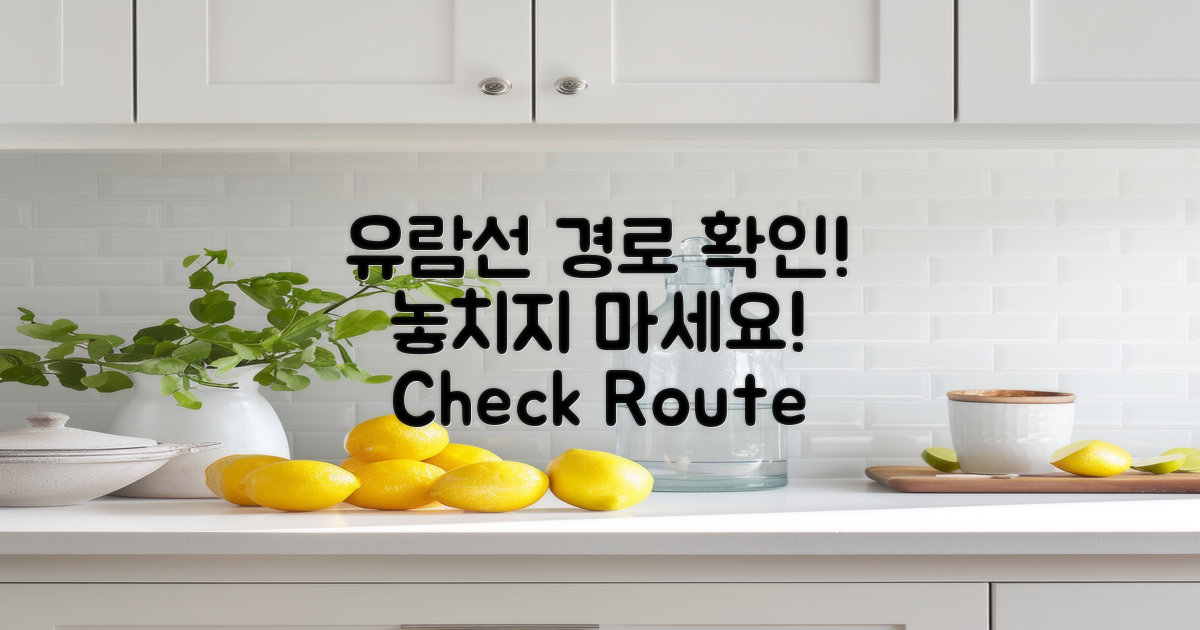 유람선 경로를 확인하세요