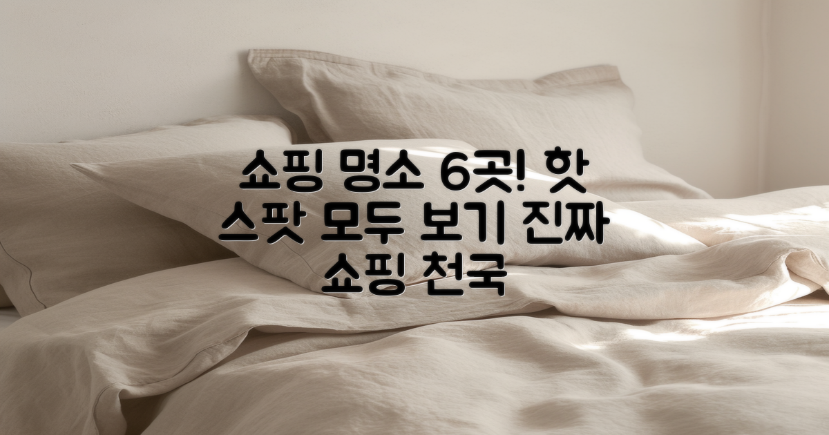 6가지 쇼핑 명소