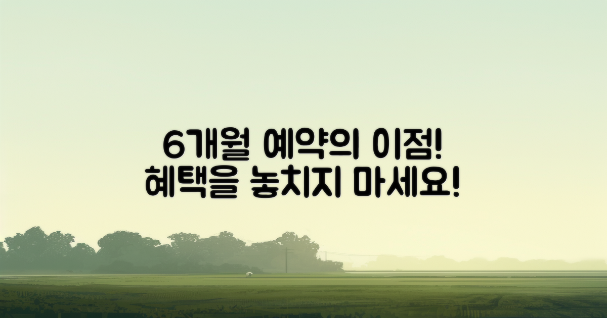 6개월 전 예약 이점