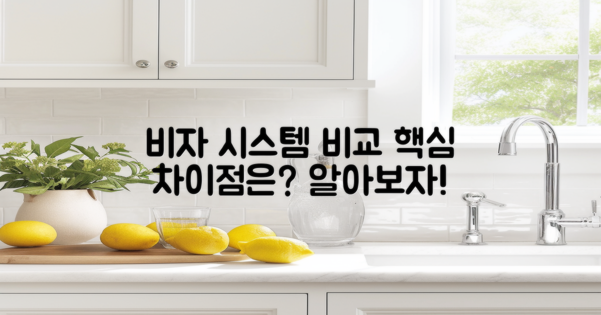 비자 시스템과의 차이점