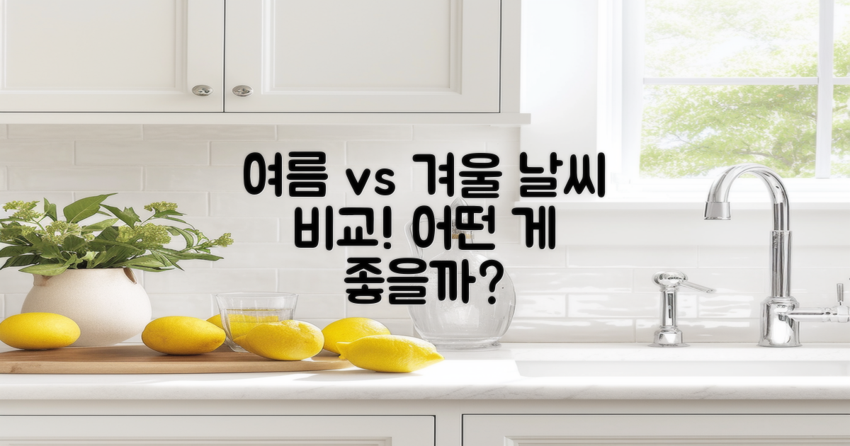 여름 vs 겨울 날씨 비교