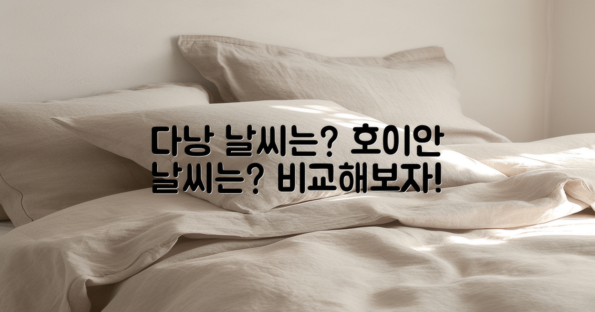 다낭 vs 호이안 날씨 차이