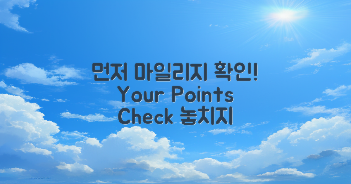 먼저 마일리지를 확인하세요