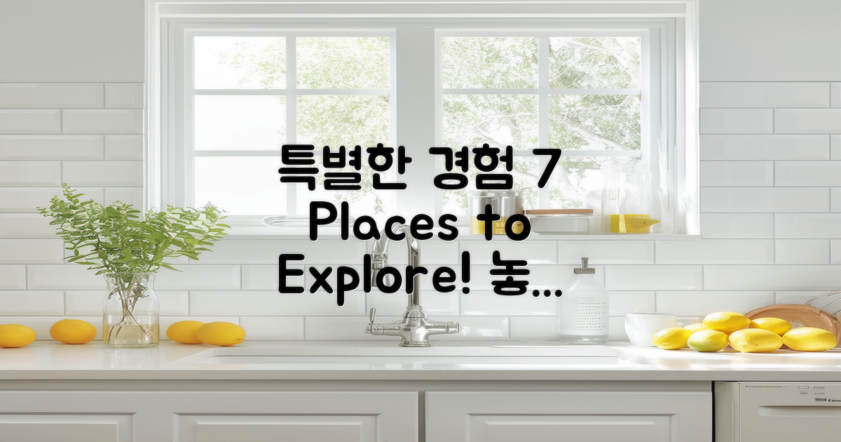 7곳에서의 특별한 경험