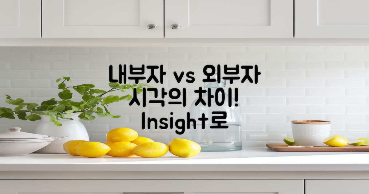 내부자 vs 외부자 시각