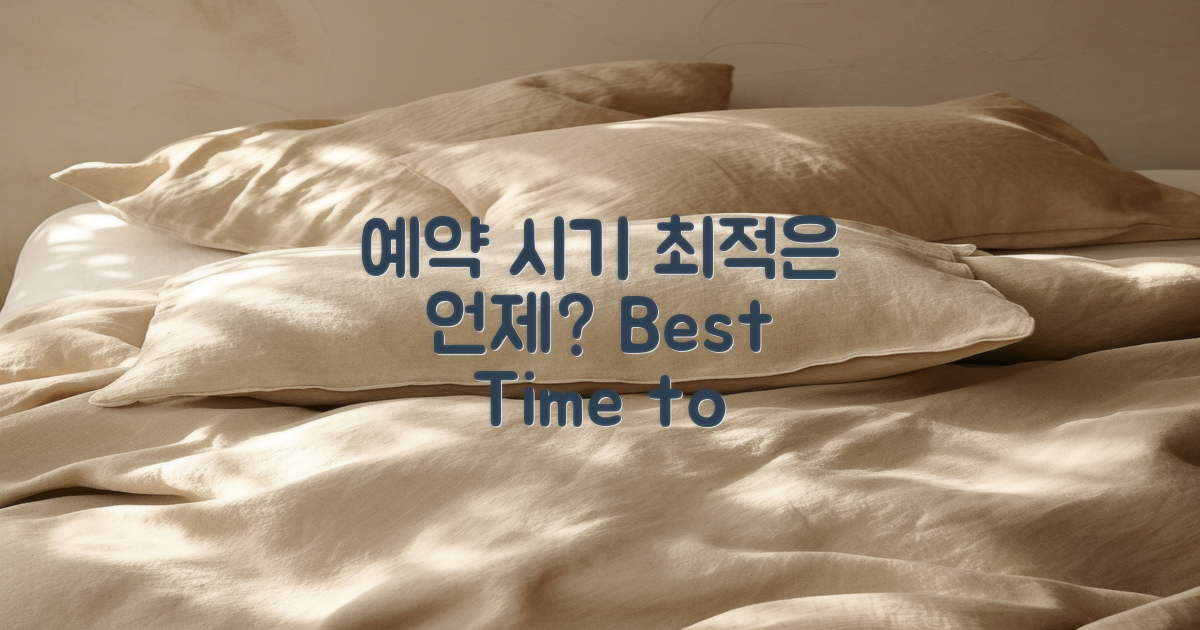 예약 시기, 언제가 최적일까?