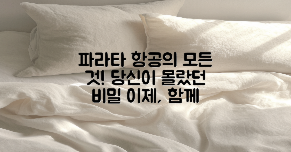 파라타 항공은 무엇일까?