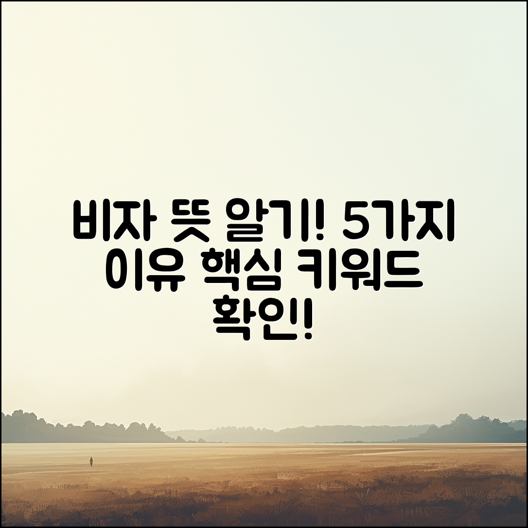 비자뜻을 아는 5가지 이유