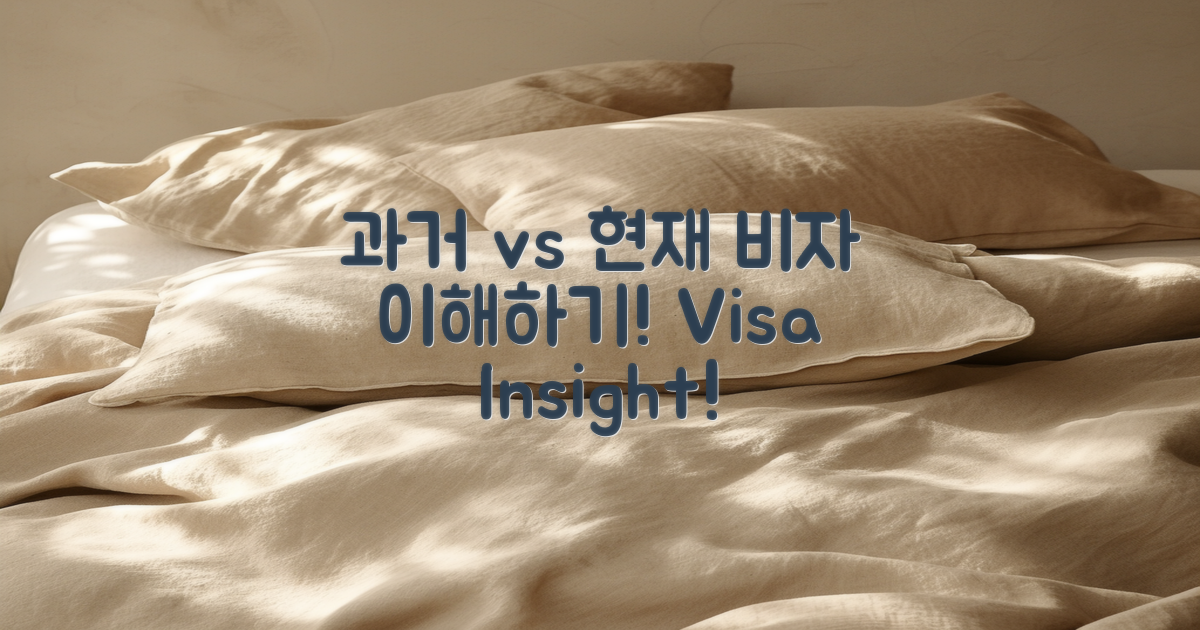 과거 vs 현재 비자 이해